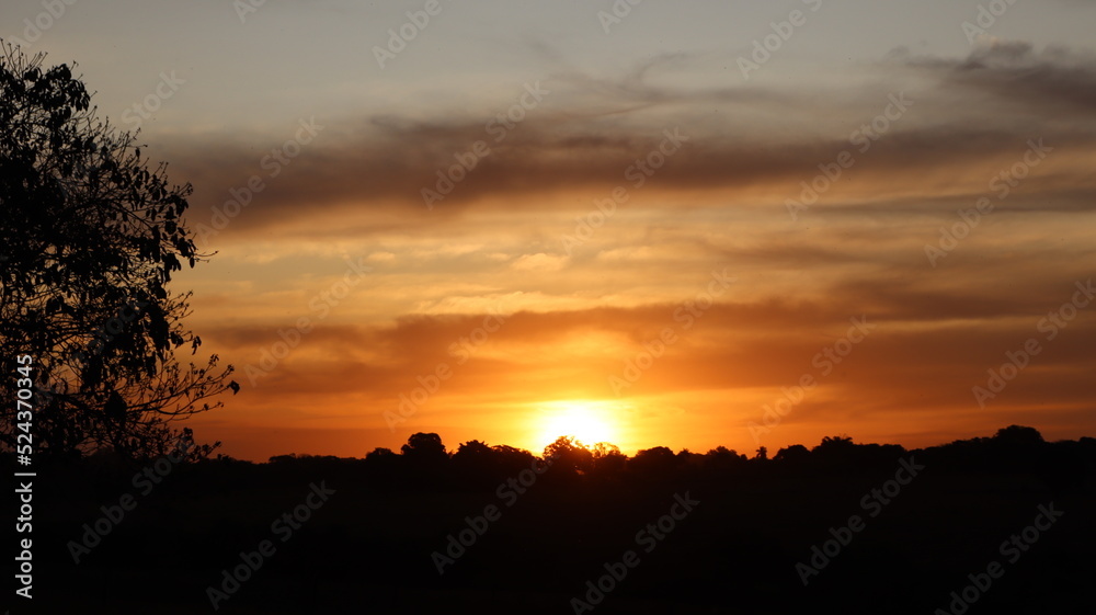 Sunset in the countryside. View of the sun setting on the site.