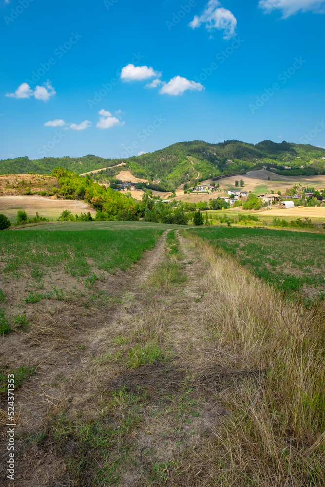Summer panorama of the hills of Nizza Valley, part of the hilly area of Oltrepo Pavese (Pavia Province) between the borders of Lombardy, Piedmont and Emilia Romagna Regions (Northern Italy)