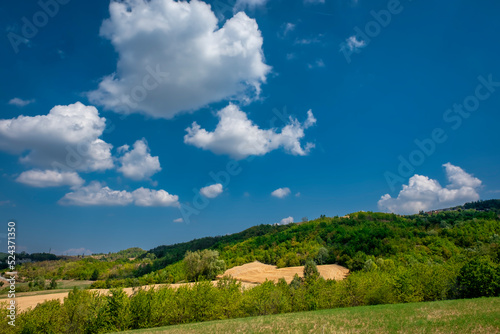 Summer panorama of the hills of Nizza Valley, part of the hilly area of Oltrepo Pavese (Pavia Province) between the borders of Lombardy, Piedmont and Emilia Romagna Regions (Northern Italy)