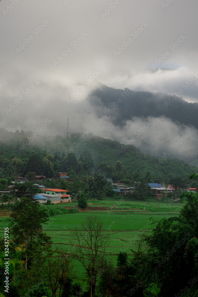 Morning atmosphere with views of rice fields and mountains Morning atmosphere with views of rice fields and mountains
