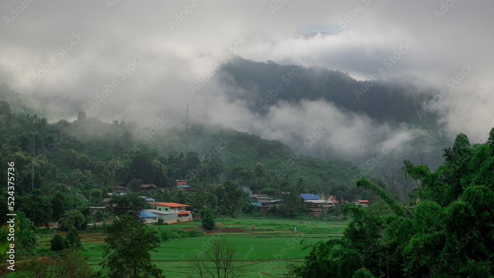 Morning atmosphere with views of rice fields and mountains