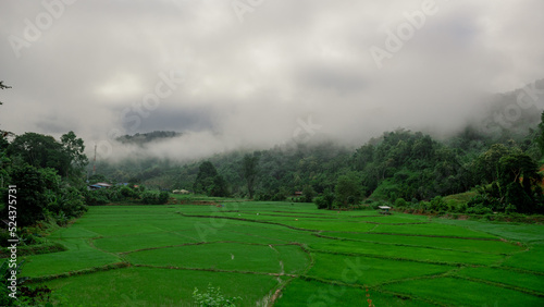 Morning atmosphere with views of rice fields and mountains