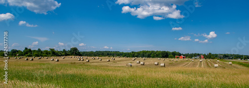 Panoramic hay field  round bales  Ontario Canada