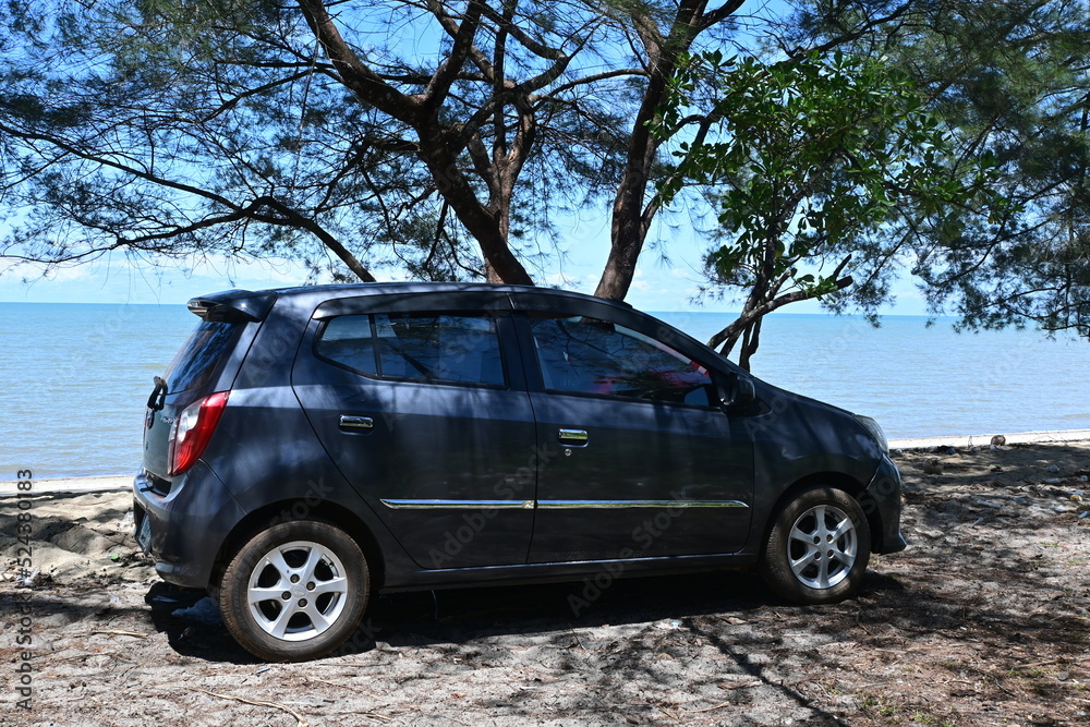 a car is parked under a tree on a beautiful beach