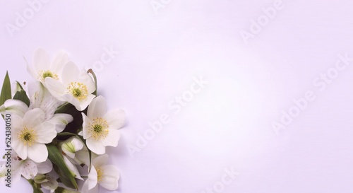 White flowers on a white background. Festive flower arrangement. Background for a greeting card.