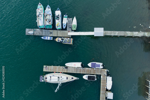 botes de marina en golfito photo