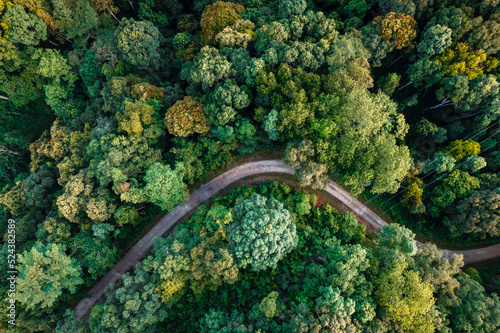 Aerial view road through green forest © artrachen