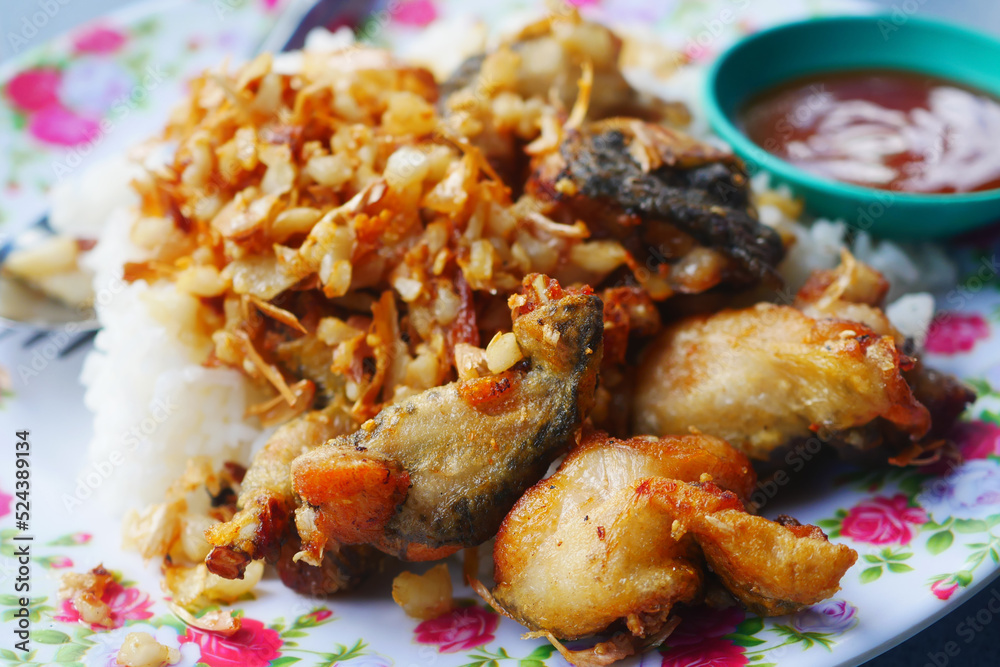Frog Roti Frog fried with garlic on white rice famous Thai food. Stock Photo ...