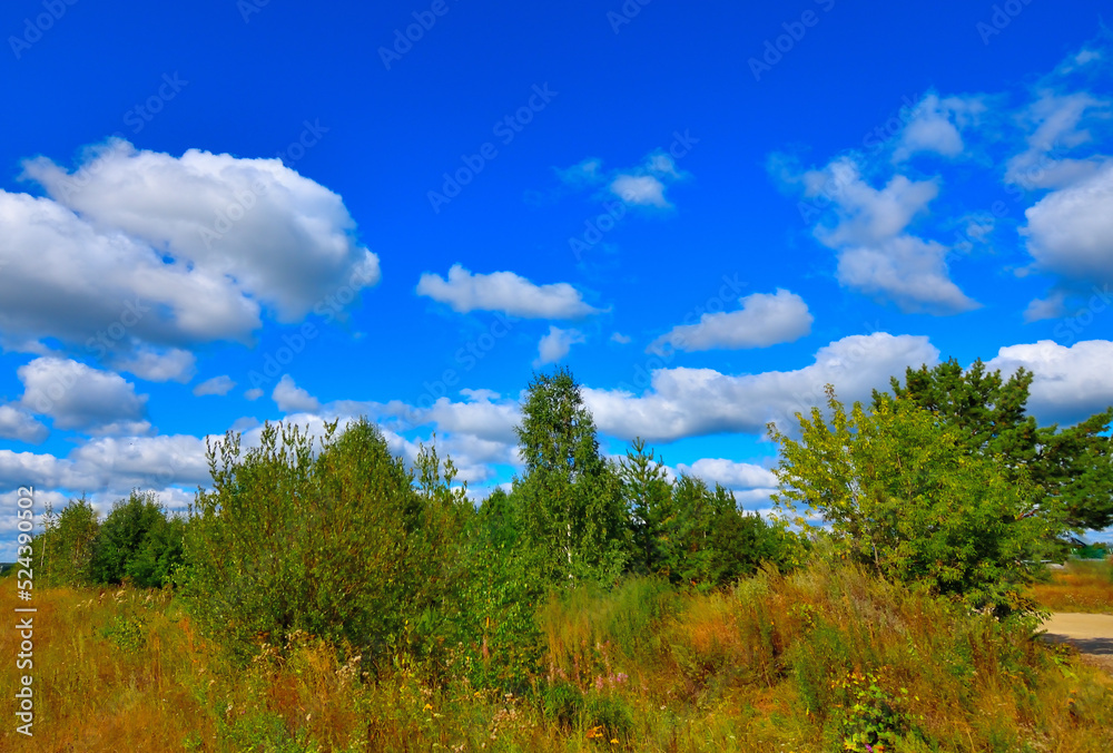 A hill overgrown with bushes against the blue sky on a summer day A hill overgrown with bushes against the blue sky on a summer day