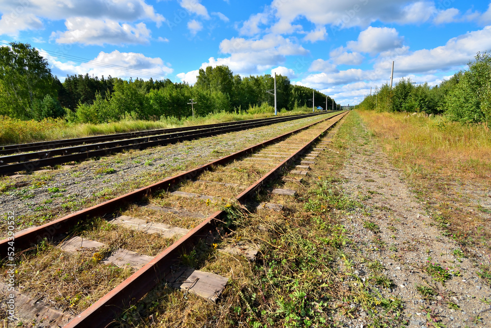 Railway tracks stretching into the distance on a summer day
