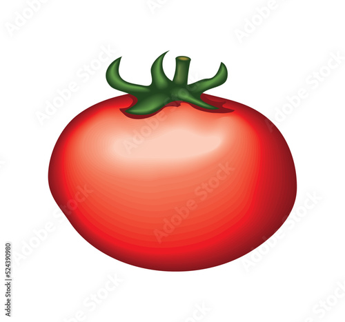 realistic vegetable tomato