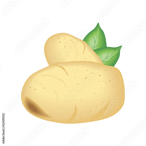realistic vegetable potatoes