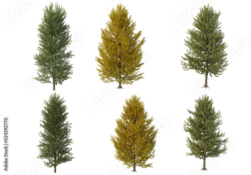 Multicolored leafy tree on transparent background