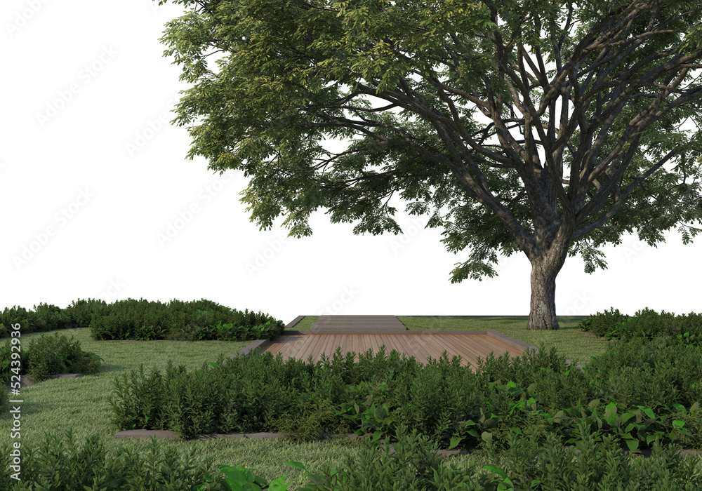 Fototapeta premium Shrubs and tree on a transparent background 