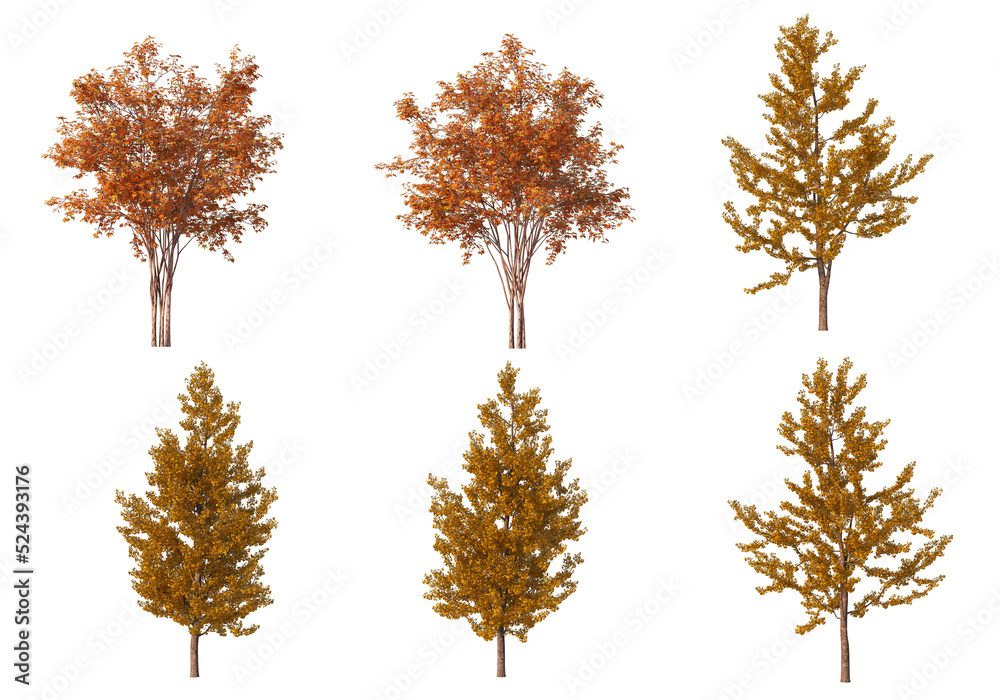 Autumn forest on a transparent background
Autumn forest on a transparent background