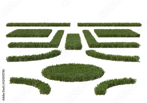 Shrubs and flower on a transparent background
