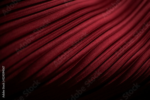 Elegant red cloth background texture 2