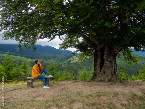 Side view of young woman in yellow sweater and blue jeans admiring breathtaking view while sitting on bench in the mountains. Female in casual clothes sits under large tree with forest background.