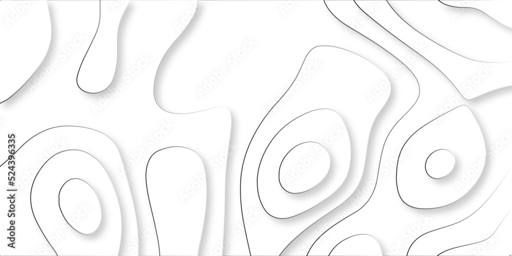 Abstracts paper cut background, Abstract decoration, white pattern and silver lines gradients, 3d Vector illustration, topographic canyon map goden line texture, curved layers and shadow. Abstracts paper cut background, Abstract decoration, white pattern and silver lines gradients, 3d Vector illustration, topographic canyon map goden line texture, curved layers and shadow.