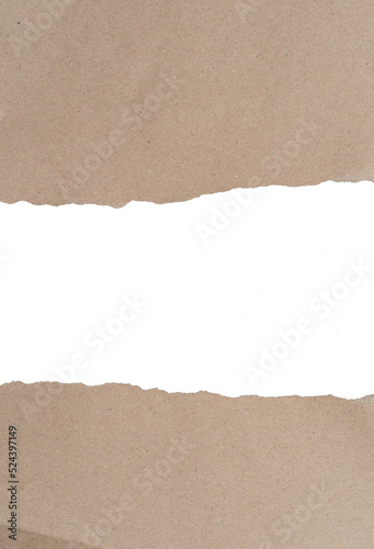 Torn Paper with space for text design, Old brown paper texture background