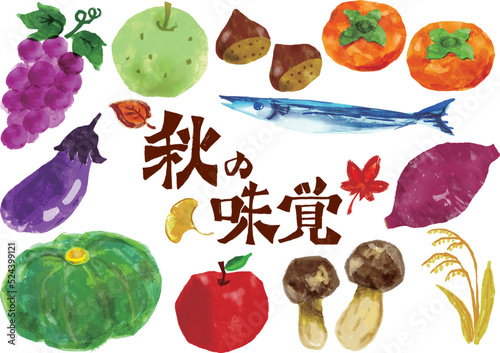 秋の味覚手描きイラストセット　主線なし