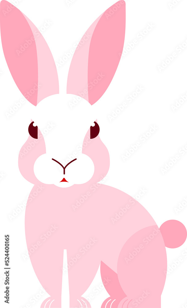 Obraz premium rabbit cute pink