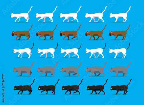 Animal Animation Sequence Cat Bombay British Shorthair Burmese Sphynx Colorpoint Cartoon Walking