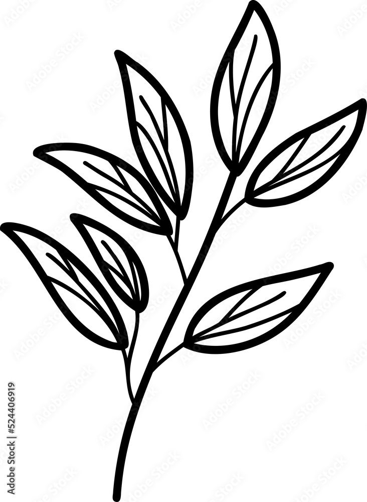 flower illustration on transparent background flower illustration on transparent background
