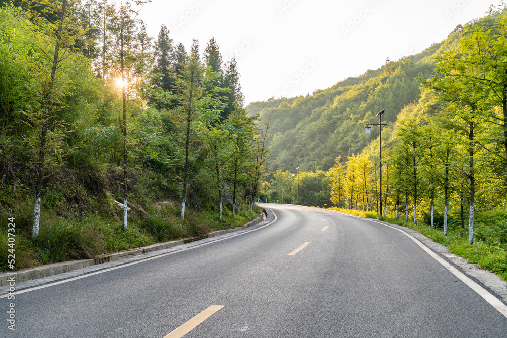 Fototapeta premium High asphalt road in the forest
