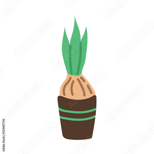 A flower bulb in a pot. Spring collection. Flat vector illustration