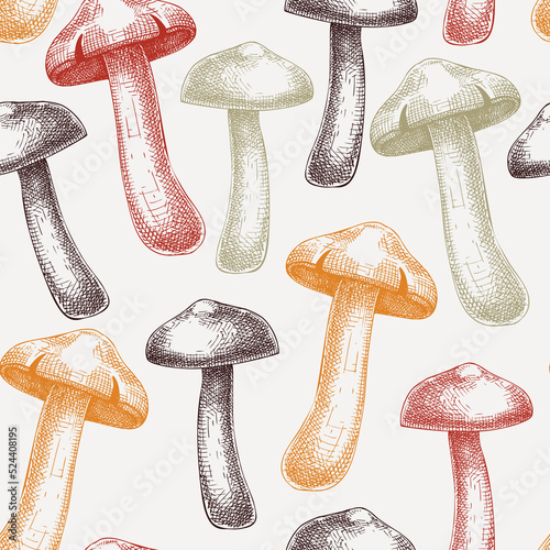 Mushroom seamless pattern. Sketched illustration. Hand-drawn food drawings. Forest plant sketches. Perfect for recipe, menu, label, icon, packaging, Vintage mushroom outlines.