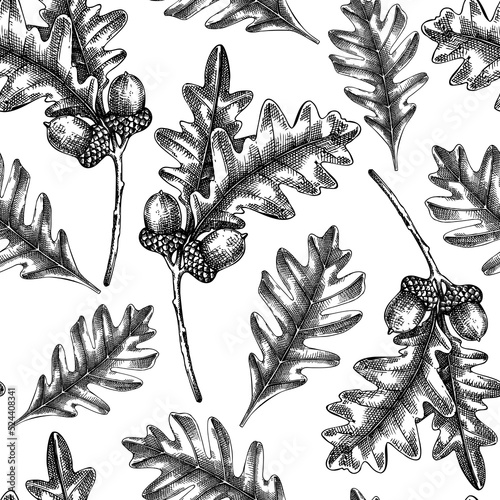 Oaktree seamless pattern Decorative autumn leaf sketches. Hand-drawn botanical backdrop in sketched style. Vintage oak tree branch with fall leaves and acorn illustrations. Thanksgiving background