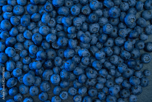Fresh hand-picked blueberries background with copy space for your text. Border design. Vegan and vegetarian concept. Macro texture of blueberry berries. Summer healthy food.