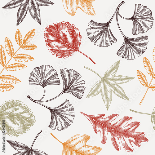 Autumn seamless pattern with fall leaves and dried flowers sketches. Thanksgiving background. Vector dried plants, falling leaves, mushrooms backdrop. Foliage illustration
