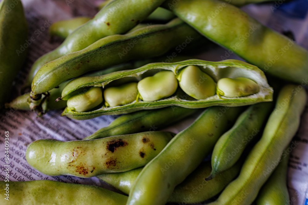 large green beans collected in the garden on the daily newspaper large green beans collected in the garden on the daily newspaper