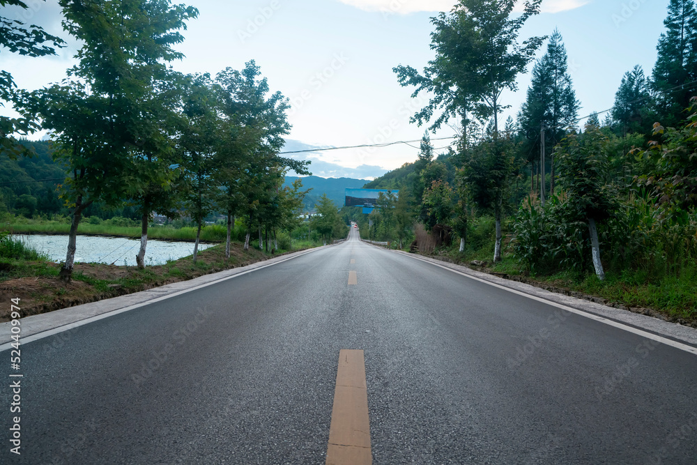High asphalt road in the forest High asphalt road in the forest