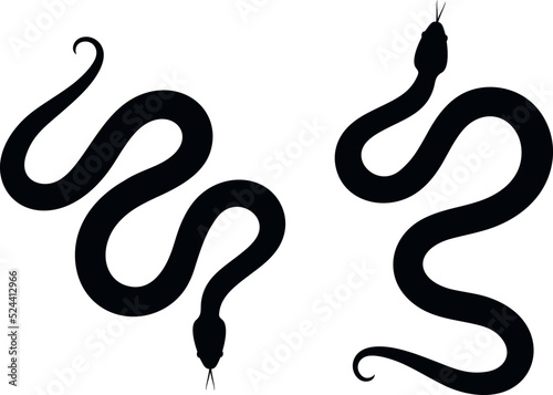Snake silhouette. Isolated snake on white background
