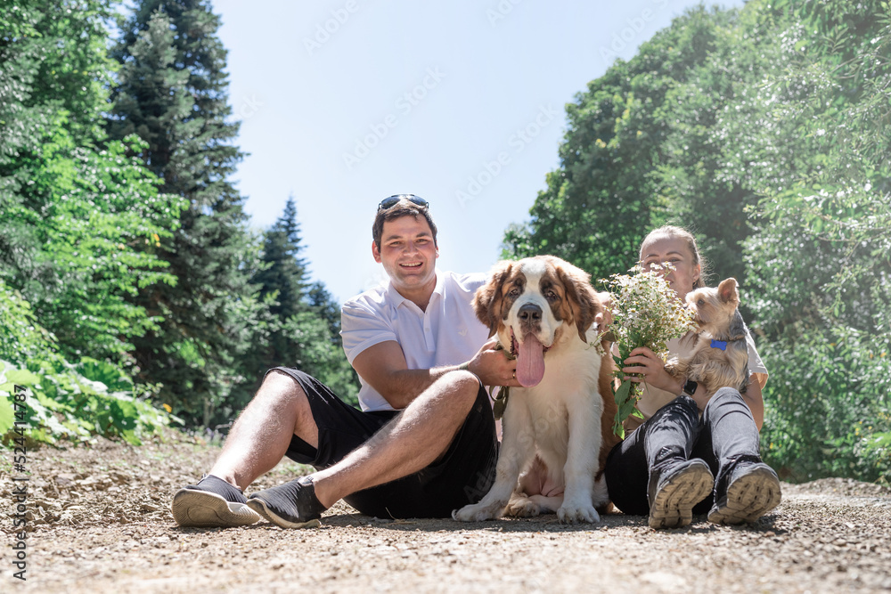 young couple travelling with dogs at the mountains, St.Bernard dog and yourkshire terrier