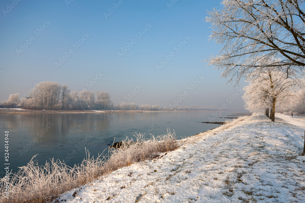 Winter am Rhein Winter am Rhein
