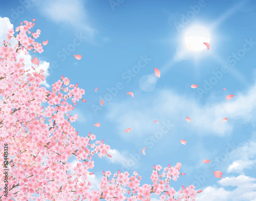 美しい桜の花びら舞い散る春の爽やか青空に太陽の光差し込むフレーム背景素材
