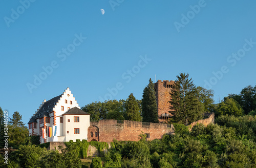 Germany, historical places along the river Main