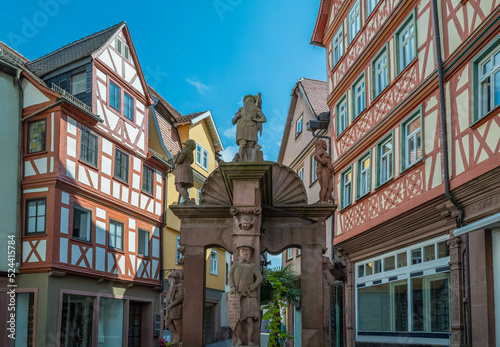 Germany, historical places along the river Main
