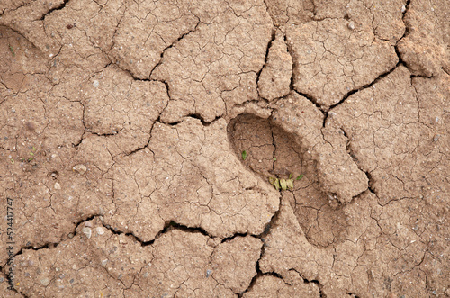 Billede på lærred a footprint on the cracked dry earth ground