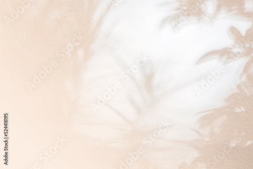 Shadow and light of leaves tree branch background. Natural colorful leaf pastel pink beige, rose gold shadow and light from sunlight on white wall
