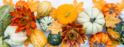 Thanksgiving day. Autumn background of colorful, decorative pumpkins, flowers and berries of mountain ash and succulents. A rich harvest. The concept of the Halloween holiday.