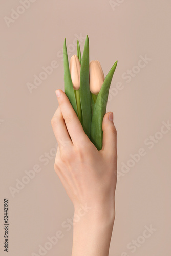 Female hand with tulip flow...