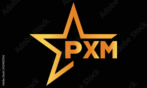 PXM golden luxury star icon three letter logo design vector template. royal logo | luxury logo | jewelry logo | premium logo | iconic logo | Victoria logo |	