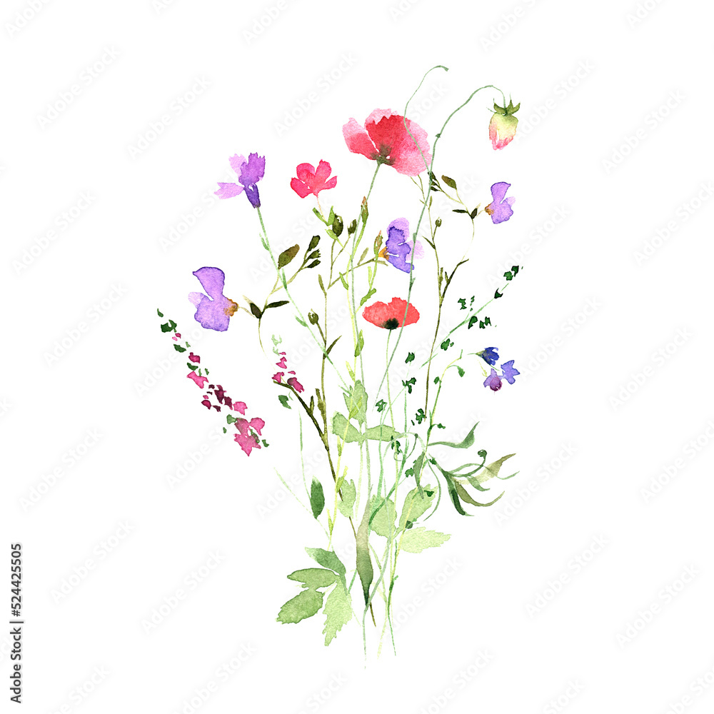 Watercolor wildflowers bouquet illustration. Handpainted drawing