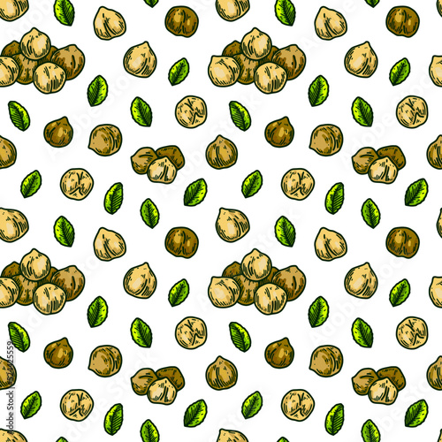 Hand drawn chickpeas seamless pattern. Vector illustration in colored sketch style