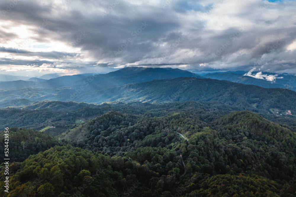 landscape view on high green hill